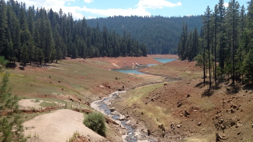 IMG_20180717_131123106