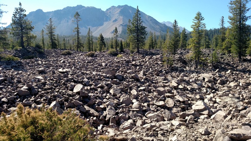 IMG_20180718_093904232