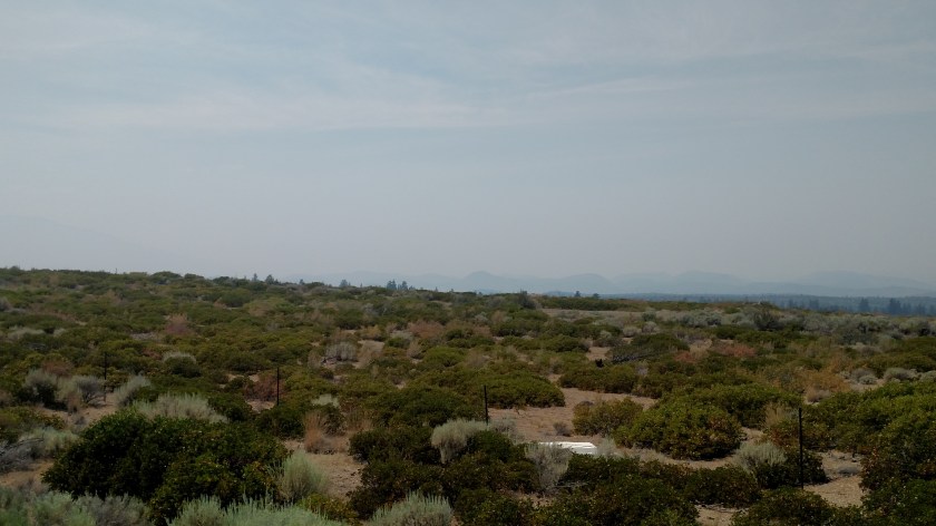 IMG_20180720_141740025