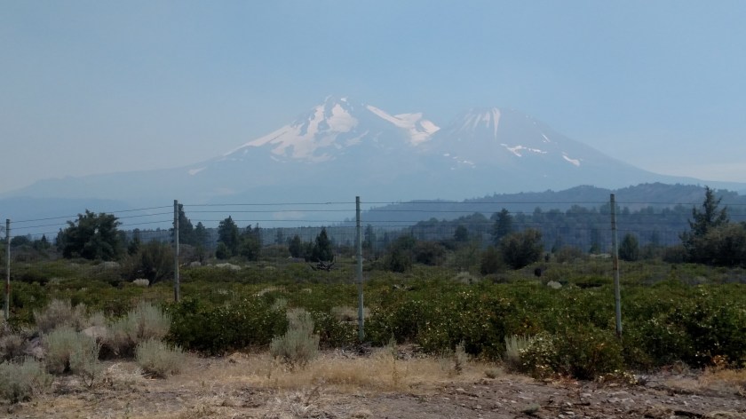 IMG_20180720_142011660