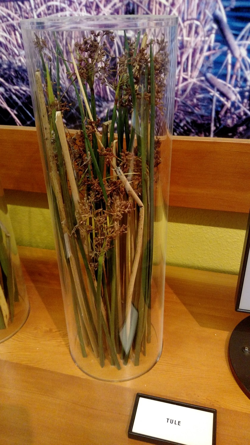 IMG_20180721_105954471