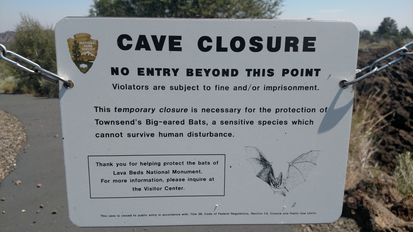 IMG_20180721_113452157