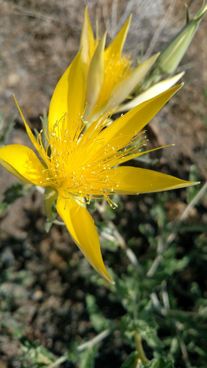 IMG_20180721_121041280