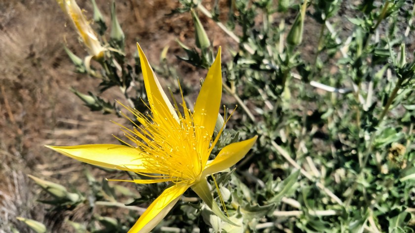 IMG_20180721_121103244