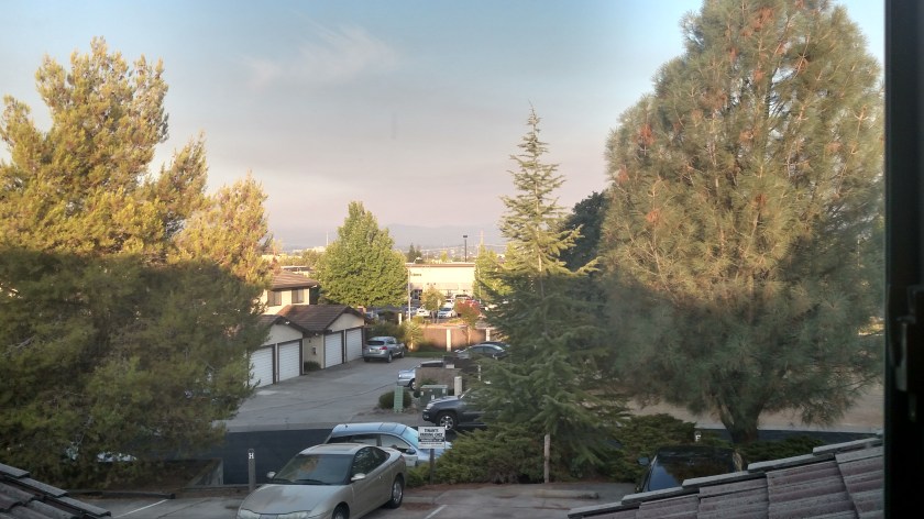 IMG_20180724_064841651_HDR