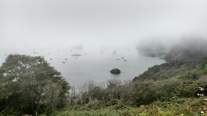 IMG_20180724_131653207_HDR