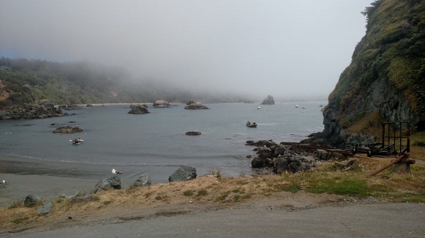 IMG_20180724_134919039