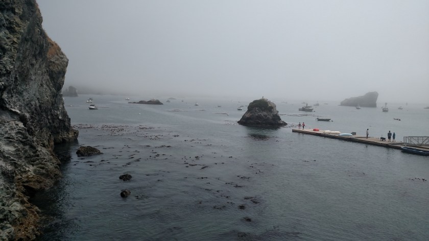 IMG_20180724_135234038