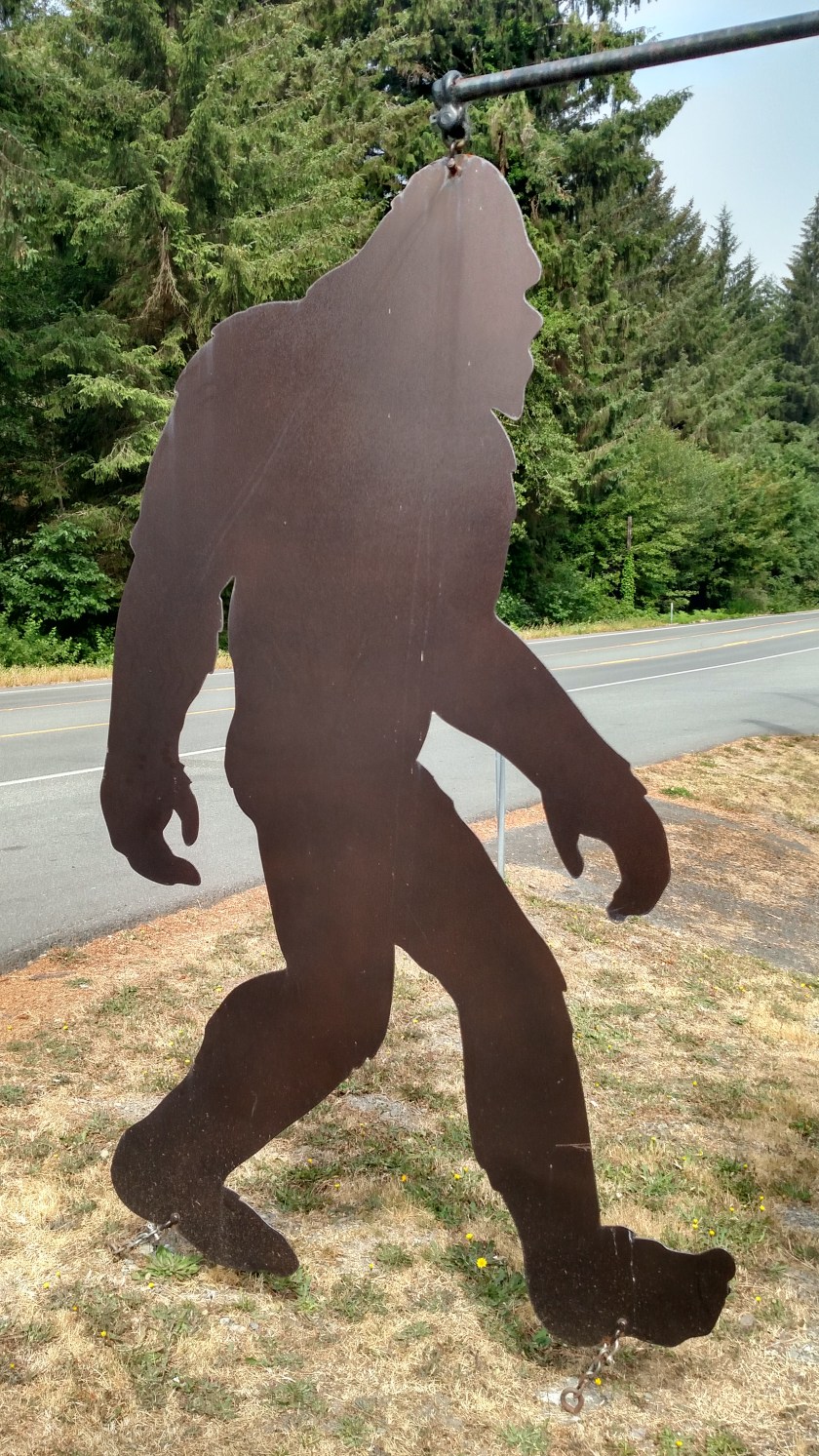 IMG_20180725_102916874_HDR