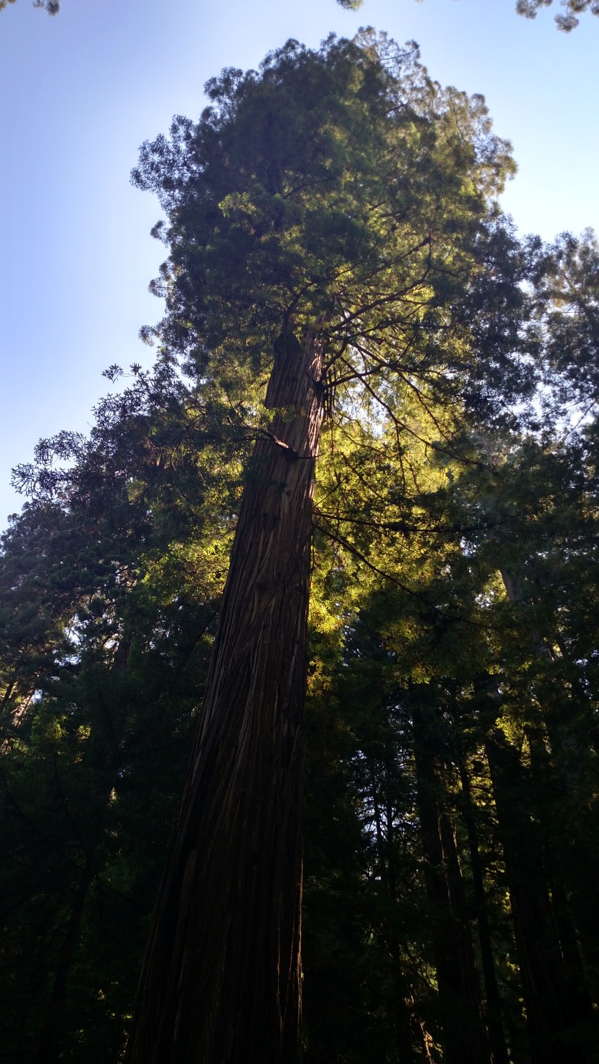 IMG_20180725_110135361_HDR