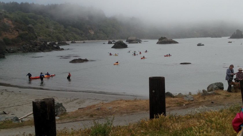 IMG_20180725_121329601