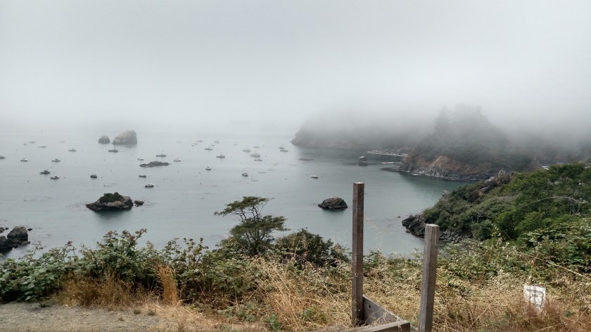 IMG_20180725_124743663_HDR