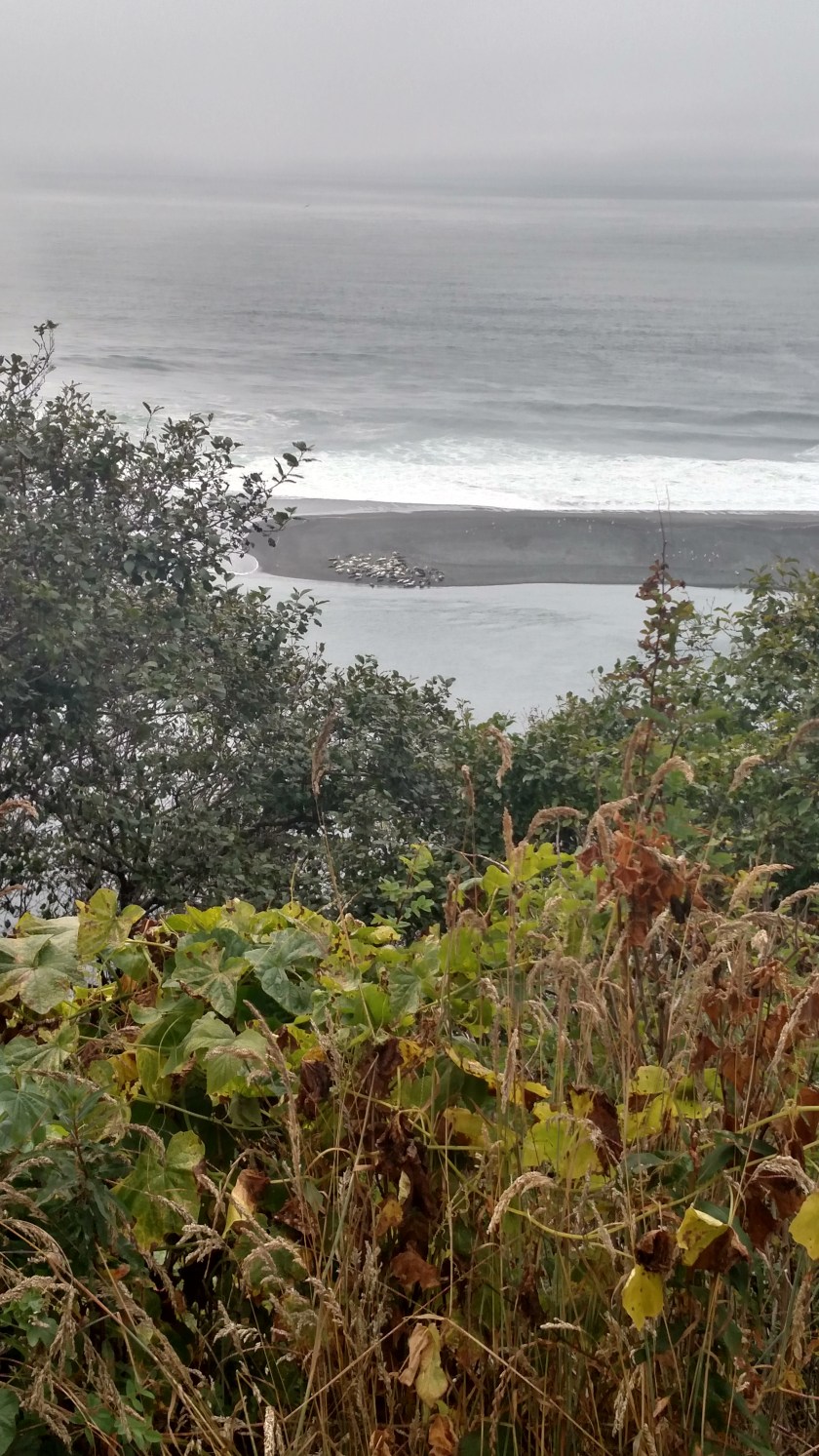 IMG_20180725_155458581_HDR