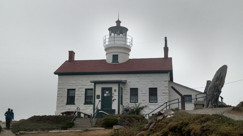 IMG_20180725_181059307_HDR