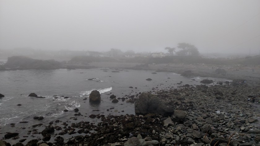 IMG_20180725_181246204