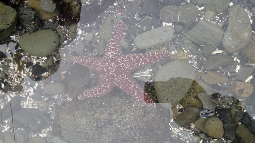 IMG_20180725_181446065