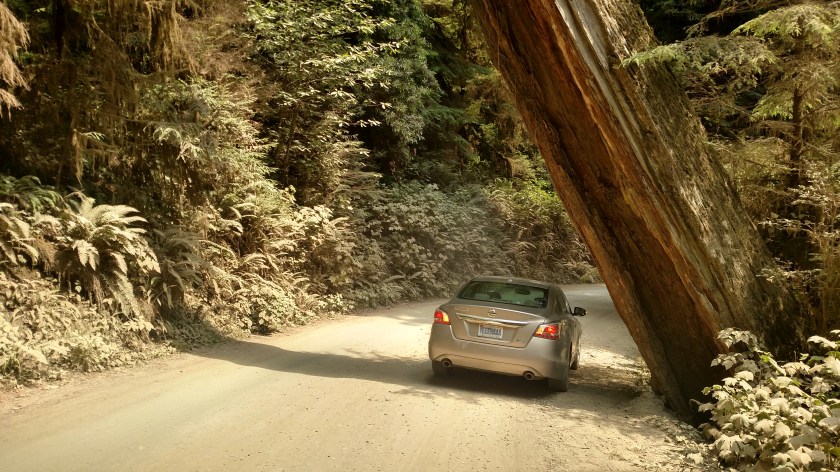 IMG_20180726_112435404_HDR