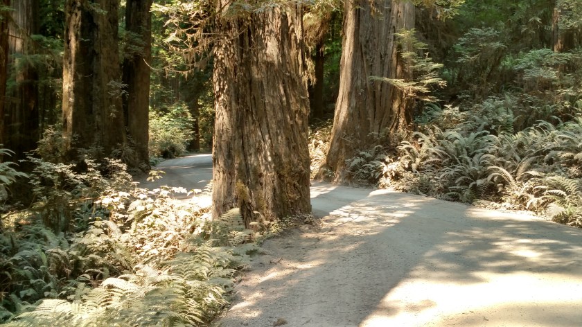 IMG_20180726_113100619_HDR