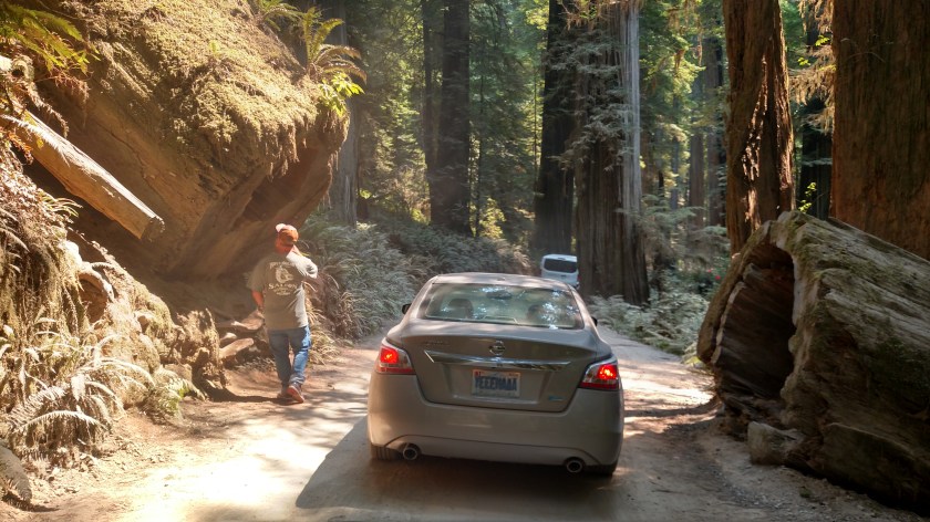 IMG_20180726_113504530_HDR