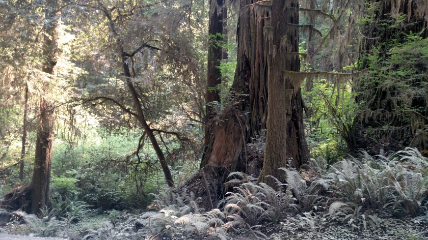 IMG_20180726_113958213