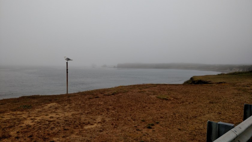 IMG_20180726_134218162