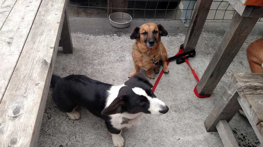 IMG_20180727_131215709