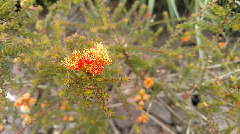 IMG_20180727_140220835