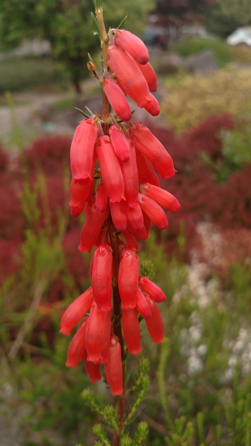 IMG_20180727_140707123