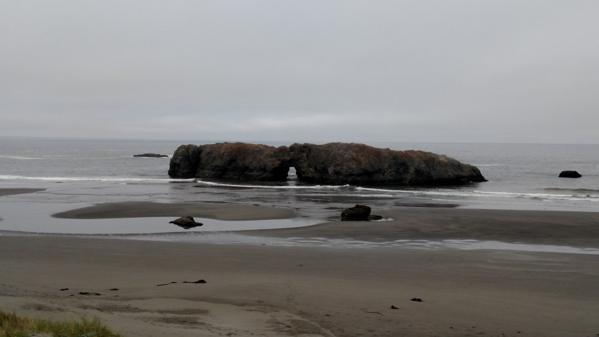 IMG_20180728_095302036