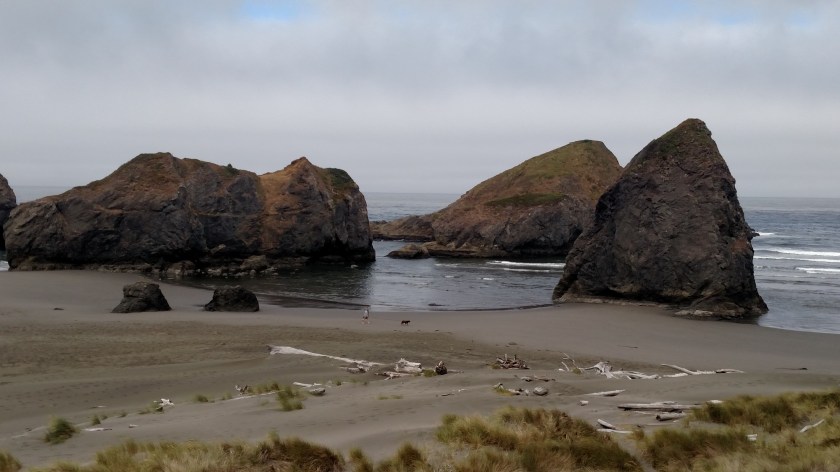 IMG_20180728_102739451