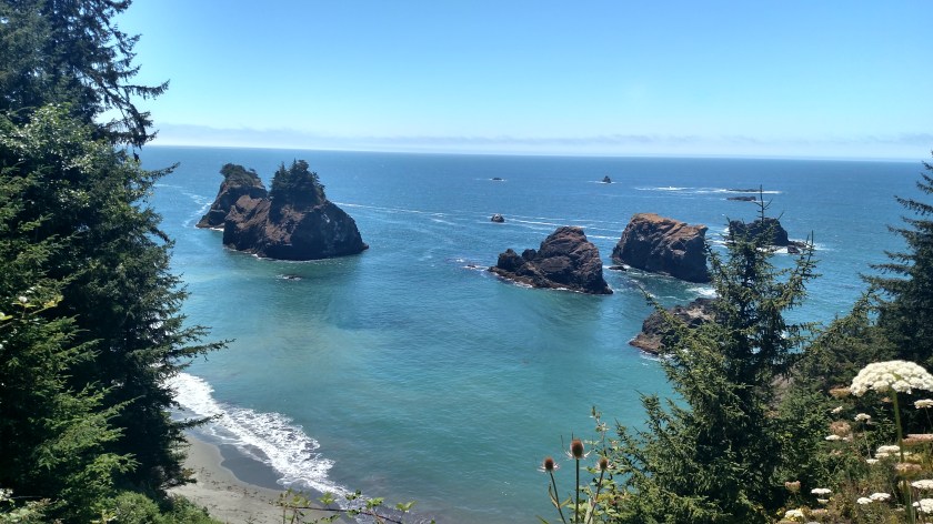 IMG_20180728_135618160_HDR