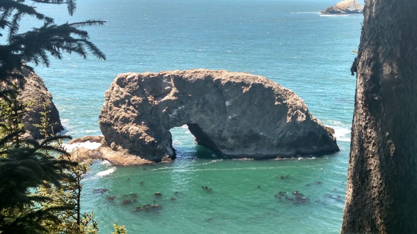 IMG_20180728_140621186_HDR