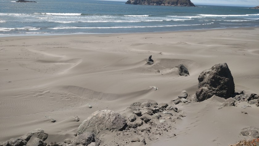 IMG_20180728_145127315