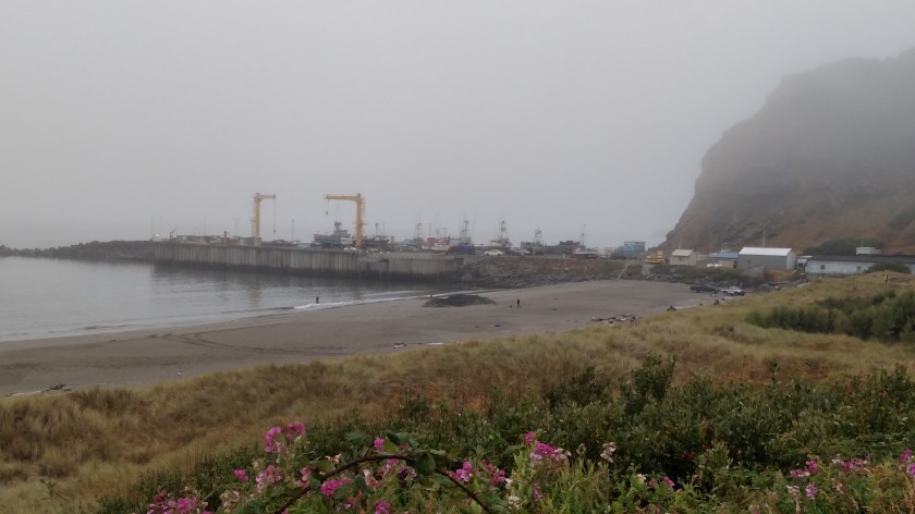 IMG_20180729_102611119