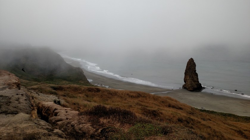 IMG_20180729_113312788