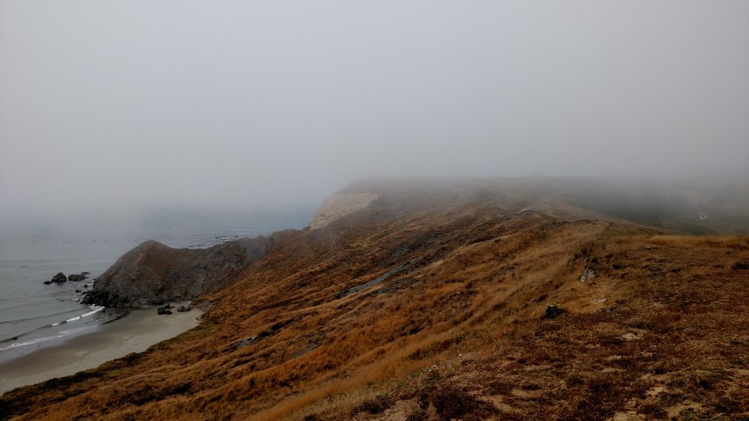 IMG_20180729_113316989