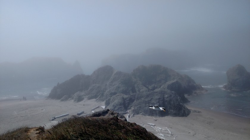 IMG_20180729_142833540