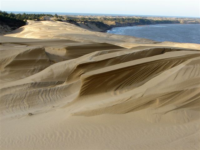 Alottasand DinaPavlis