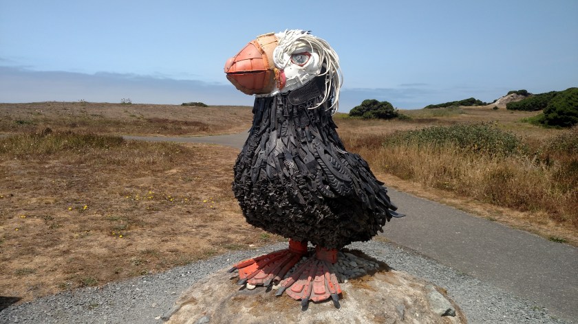 IMG_20180730_140555474