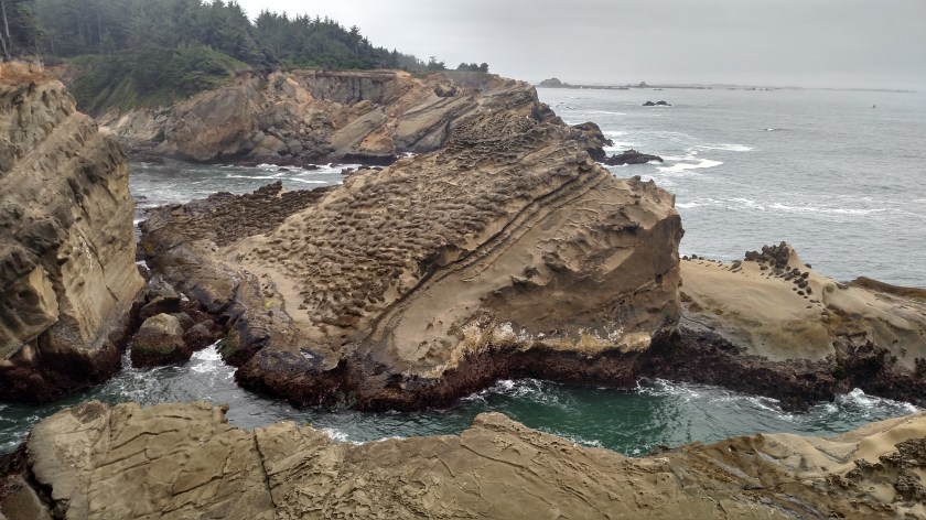 IMG_20180731_101236941_HDR