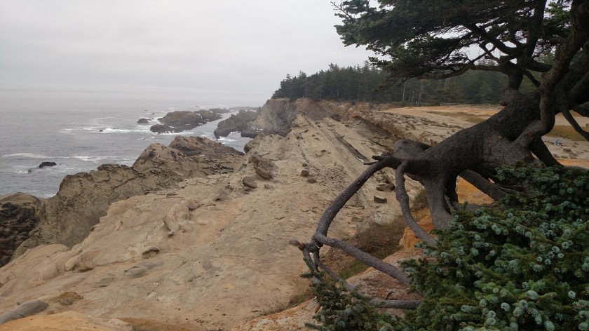 IMG_20180731_102250554