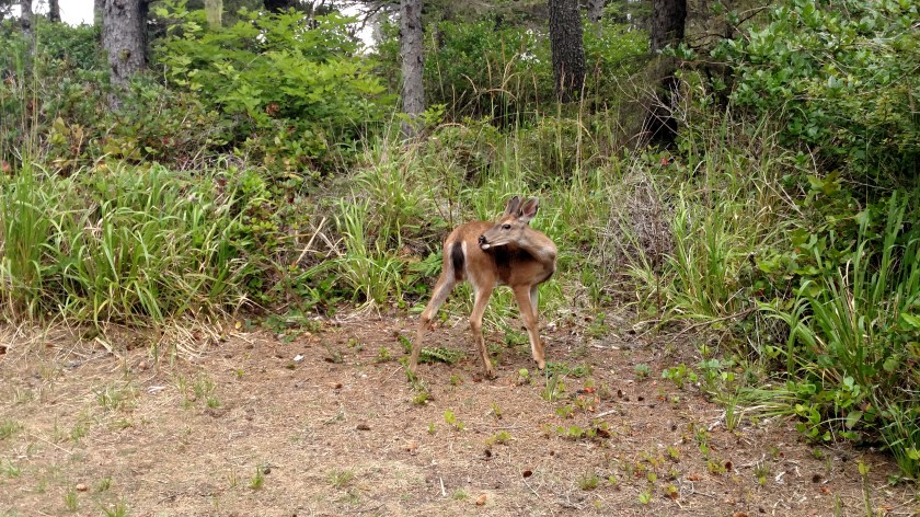 IMG_20180731_102819849