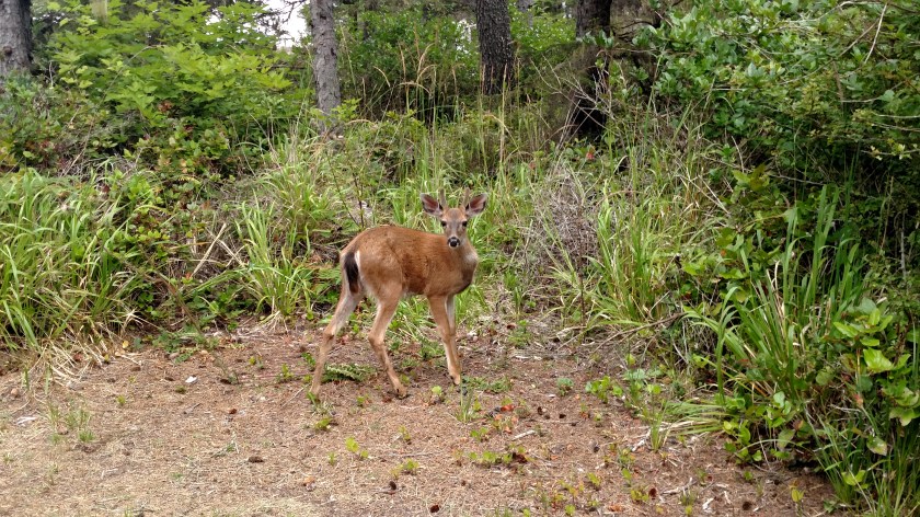 IMG_20180731_102821506