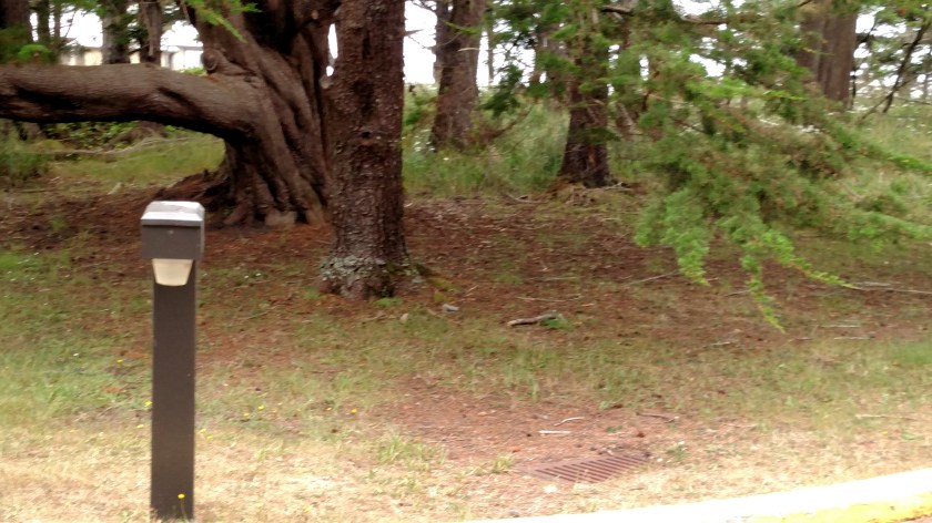 IMG_20180731_102910009