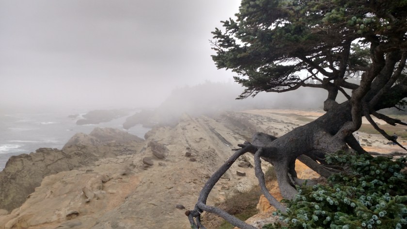 IMG_20180731_104037544_HDR