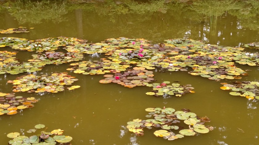 IMG_20180731_120742548