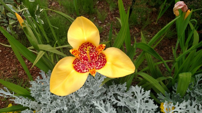 IMG_20180731_121340420