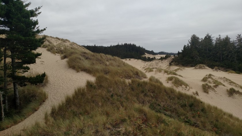 IMG_20180801_141137353