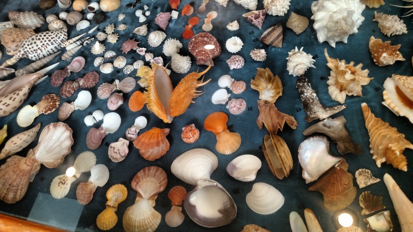 IMG_20180803_141623866