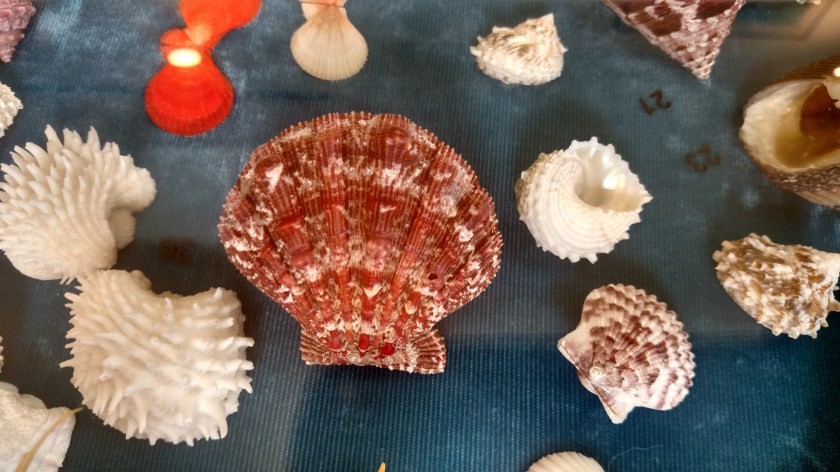 IMG_20180803_141636618_HDR